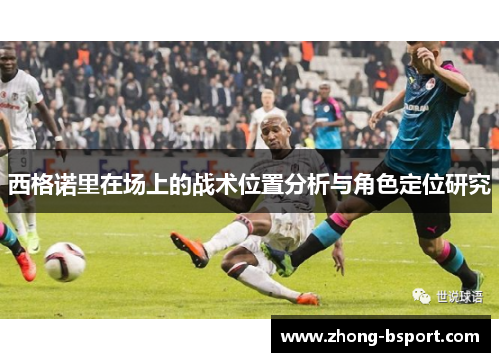 西格诺里在场上的战术位置分析与角色定位研究